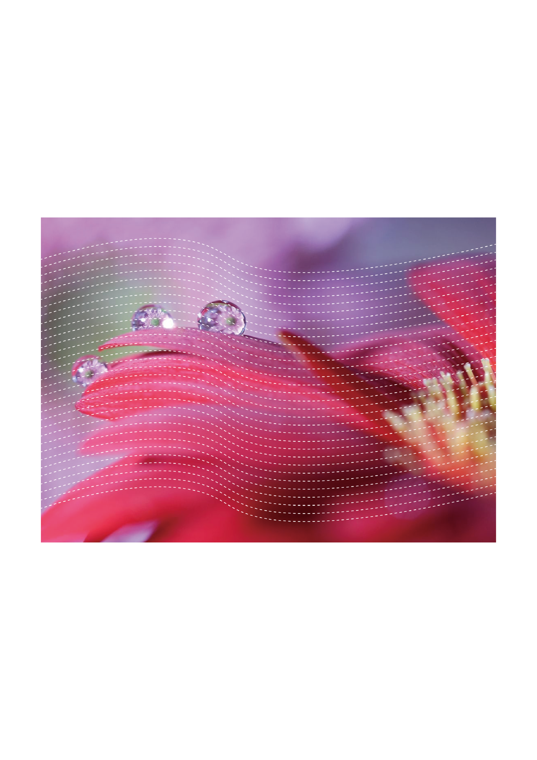 個展イメージ